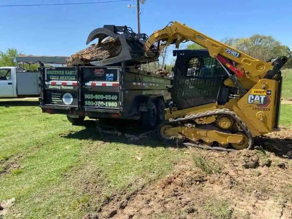 Professional Tree Service