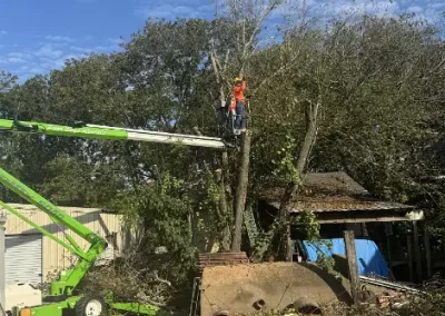 Outstanding Tree Service