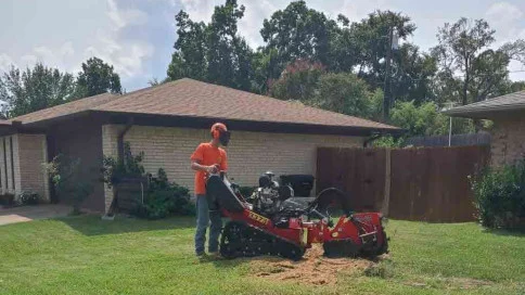 Professional Stump Grinding