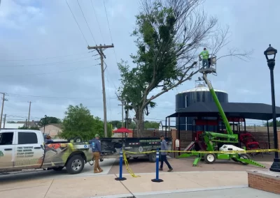 Reliable Tree Experts