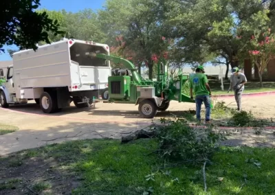 Skilled Tree Removal