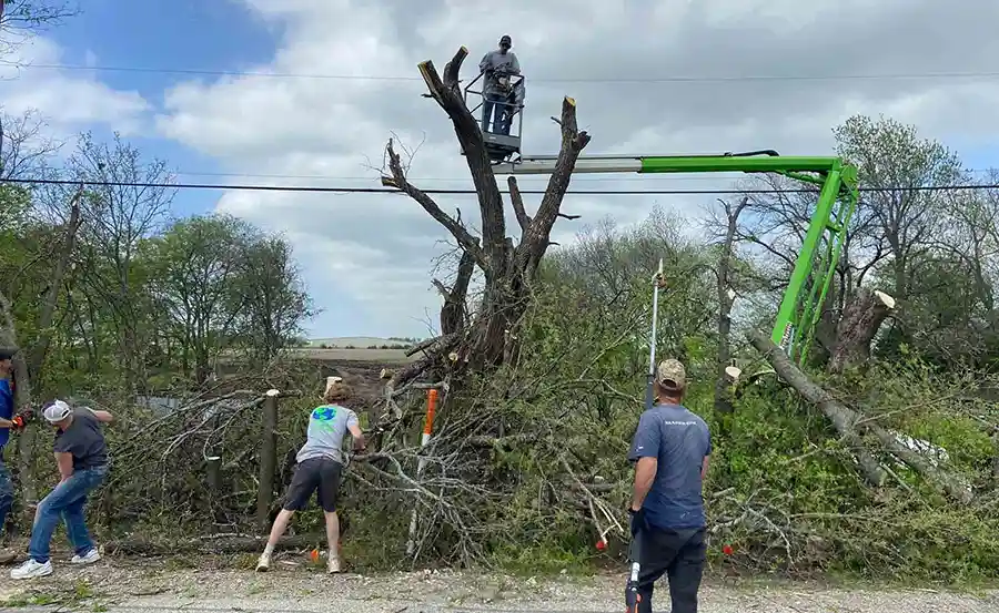 Storm Cleanup in Bonham, TX