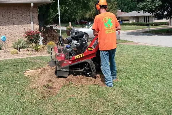 Stump Grinding