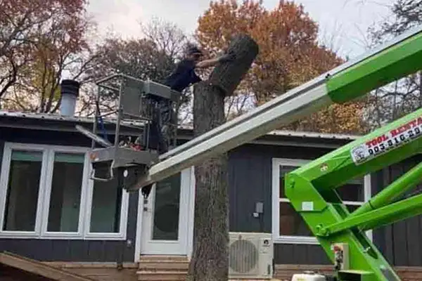 Tree Removal