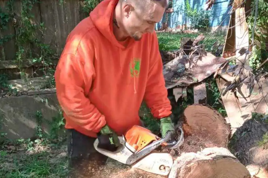 Tree Service in Bonham TX