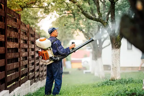 Tree Spraying
